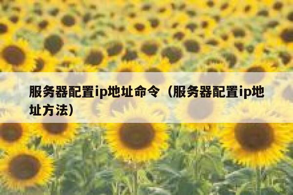 服务器配置ip地址命令（服务器配置ip地址方法） 第1张