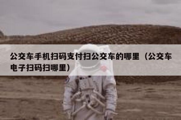 公交车手机扫码支付扫公交车的哪里（公交车电子扫码扫哪里） 第1张