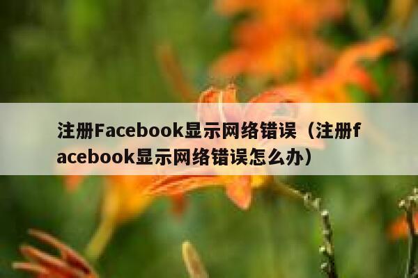 注册Facebook显示网络错误(注册facebook显示网络错误怎么办) 第1张 注册Facebook显示网络错误(注册facebook显示网络错误怎么办) 第1张
