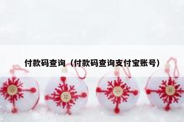 付款码查询（付款码查询支付宝账号） 第1张