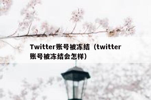 Twitter账号被冻结（twitter账号被冻结会怎样） 第1张