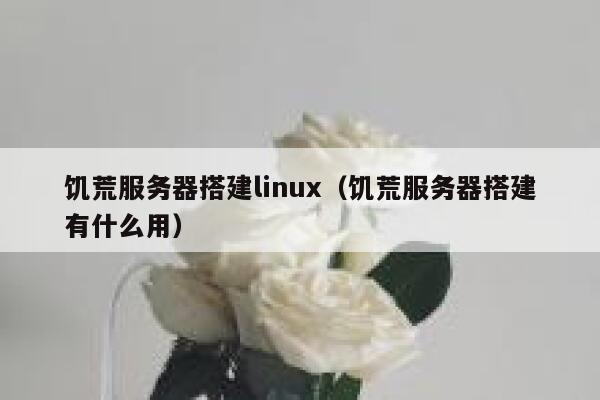 饥荒服务器搭建linux（饥荒服务器搭建有什么用） 第1张