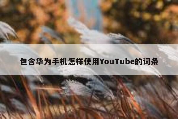 包含华为手机怎样使用YouTube的词条 第1张