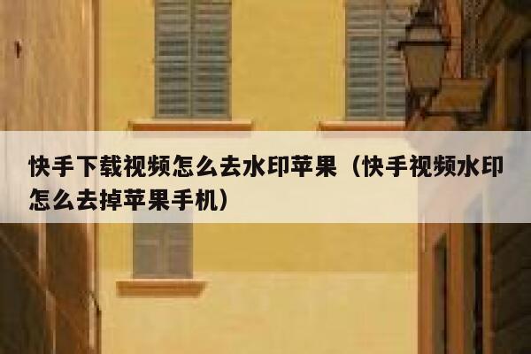 快手下载视频怎么去水印苹果（快手视频水印怎么去掉苹果手机） 第1张