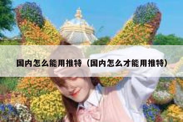 国内怎么能用推特（国内怎么才能用推特） 第1张