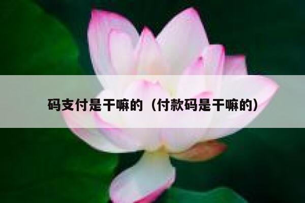 码支付是干嘛的（付款码是干嘛的） 第1张