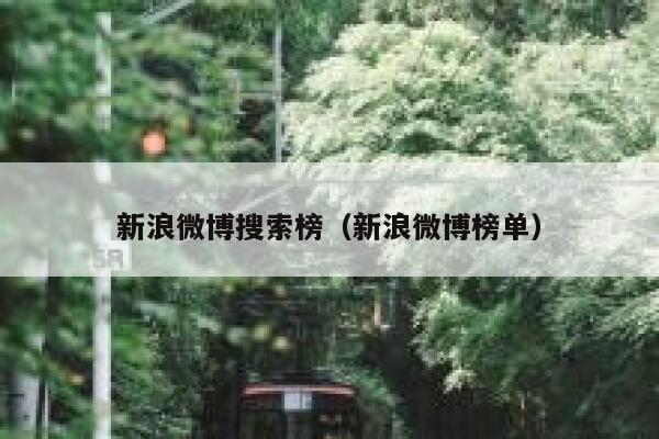 新浪微博搜索榜（新浪微博榜单） 第1张