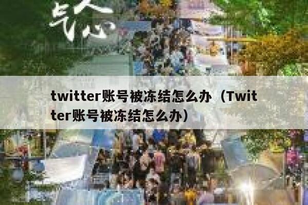 twitter账号被冻结怎么办（Twitter账号被冻结怎么办） 第1张