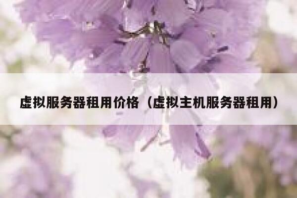 虚拟服务器租用价格（虚拟主机服务器租用） 第1张