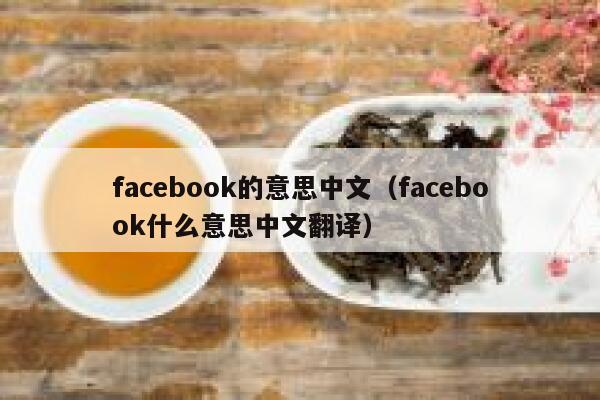 facebook的意思中文（facebook什么意思中文翻译） 第1张