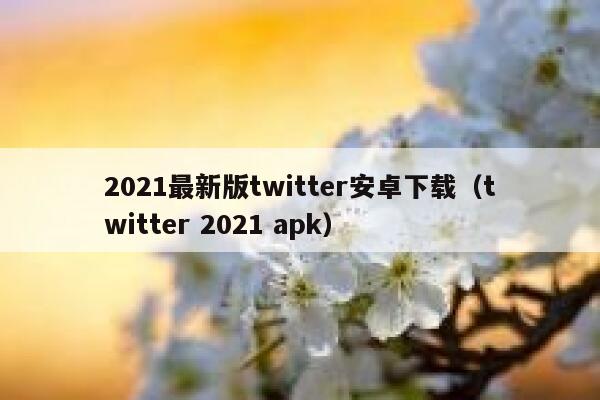 2021最新版twitter安卓下载(twitter 2021 apk) 第1张 2021最新版twitter安卓下载(twitter 2021 apk) 第1张
