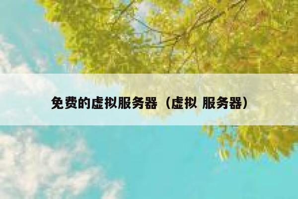 免费的虚拟服务器（虚拟 服务器） 第1张
