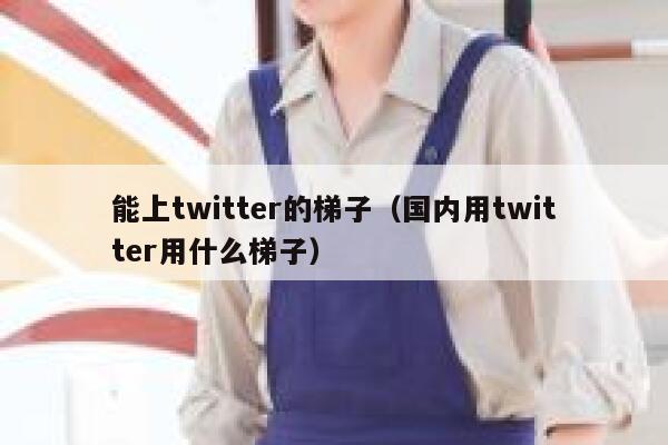 能上twitter的梯子（国内用twitter用什么梯子） 第1张