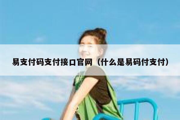 易支付码支付接口官网（什么是易码付支付） 第1张
