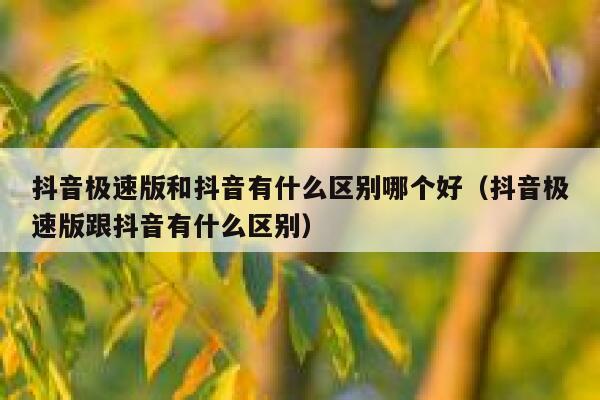 抖音极速版和抖音有什么区别哪个好（抖音极速版跟抖音有什么区别） 第1张