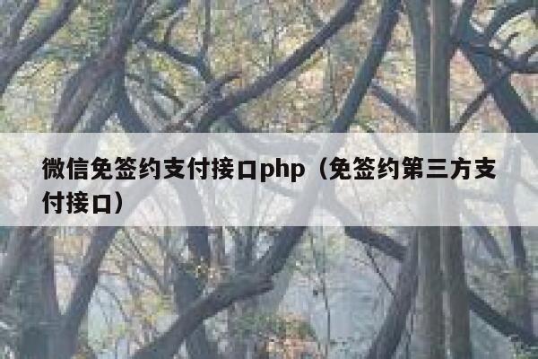微信免签约支付接口php（免签约第三方支付接口） 第1张