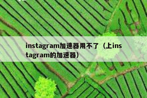 instagram加速器用不了（上instagram的加速器） 第1张