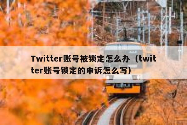 Twitter账号被锁定怎么办（twitter账号锁定的申诉怎么写） 第1张