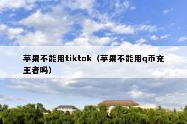 苹果不能用tiktok（苹果不能用q币充王者吗） 第1张