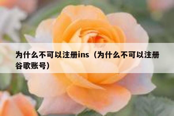 为什么不可以注册ins（为什么不可以注册谷歌账号） 第1张