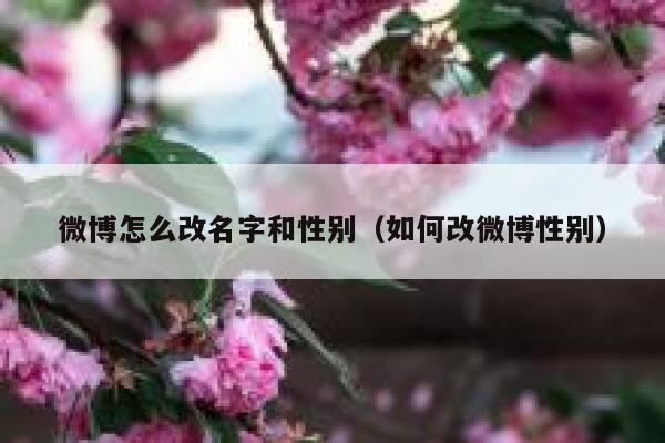 微博怎么改名字和性别（如何改微博性别） 第1张
