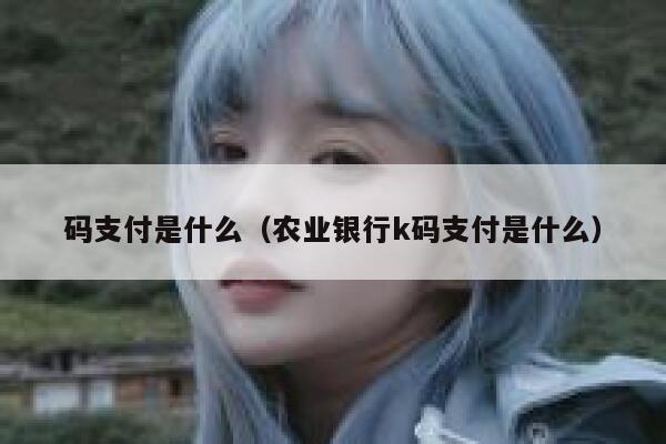 码支付是什么（农业银行k码支付是什么） 第1张