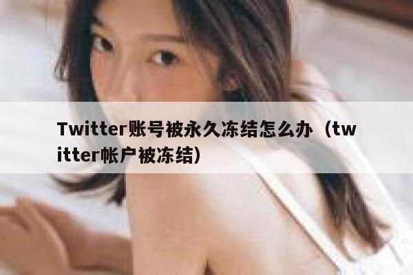 Twitter账号被永久冻结怎么办（twitter帐户被冻结） 第1张