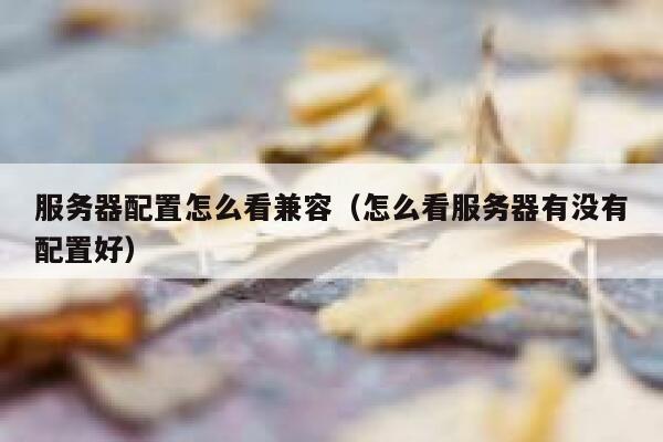 服务器配置怎么看兼容（怎么看服务器有没有配置好） 第1张