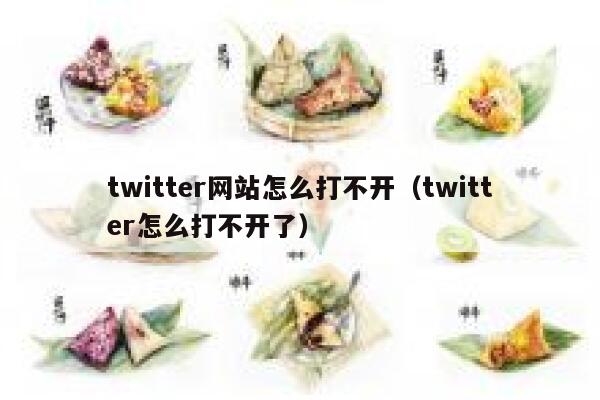 twitter网站怎么打不开（twitter怎么打不开了） 第1张