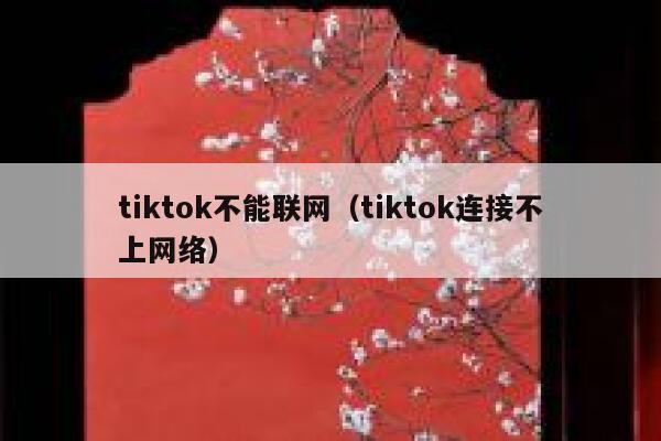tiktok不能联网（tiktok连接不上网络） 第1张