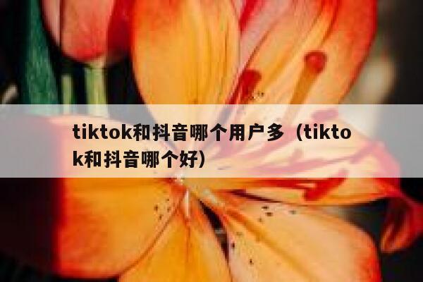 tiktok和抖音哪个用户多（tiktok和抖音哪个好） 第1张