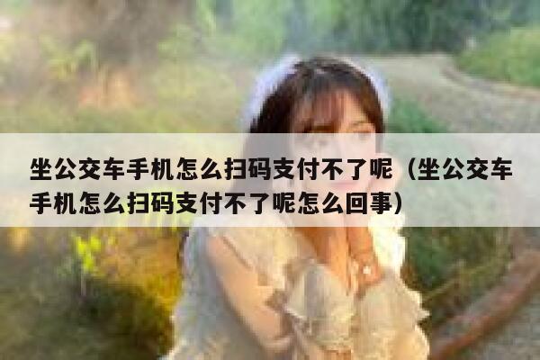 坐公交车手机怎么扫码支付不了呢（坐公交车手机怎么扫码支付不了呢怎么回事） 第1张