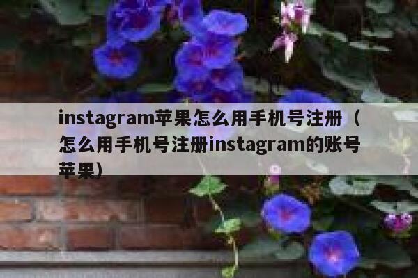 instagram苹果怎么用手机号注册（怎么用手机号注册instagram的账号苹果） 第1张