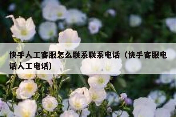快手人工客服怎么联系联系电话（快手客服电话人工电话） 第1张