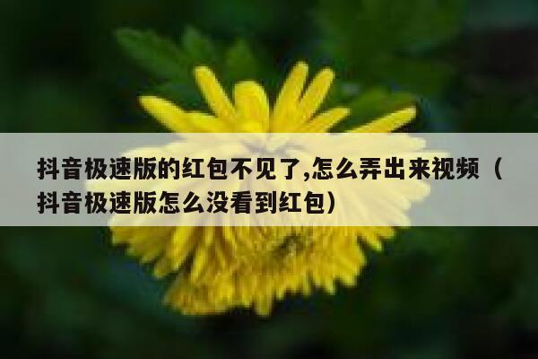 抖音极速版的红包不见了,怎么弄出来视频（抖音极速版怎么没看到红包） 第1张