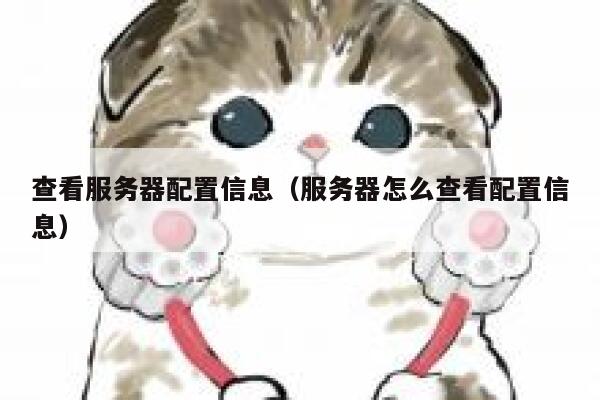 查看服务器配置信息（服务器怎么查看配置信息） 第1张