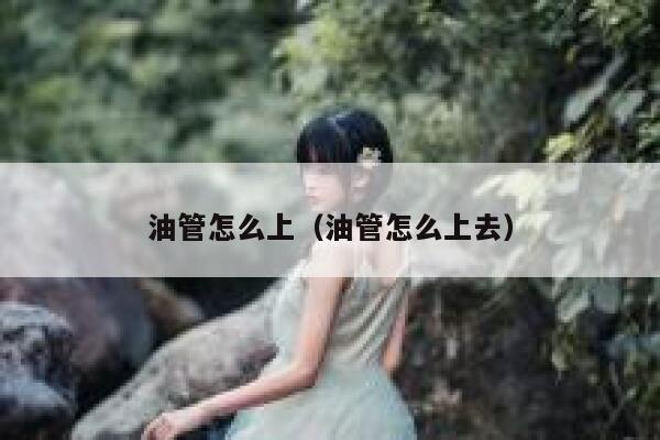 油管怎么上（油管怎么上去） 第1张
