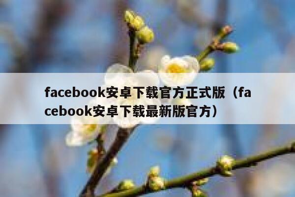 facebook安卓下载官方正式版（facebook安卓下载最新版官方） 第1张