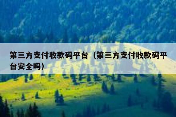 第三方支付收款码平台（第三方支付收款码平台安全吗） 第1张