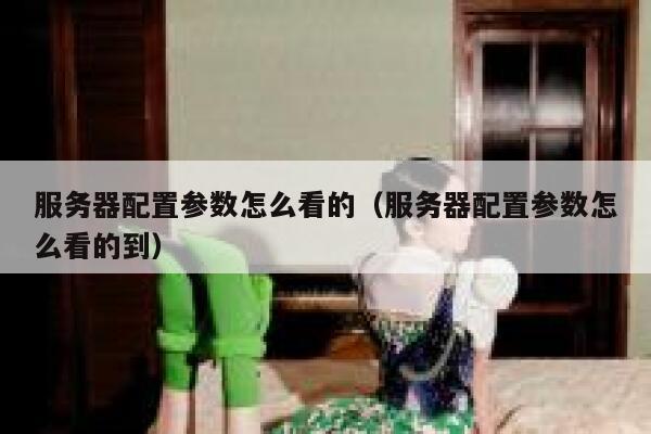 服务器配置参数怎么看的（服务器配置参数怎么看的到） 第1张