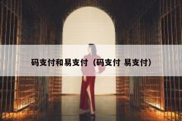 码支付和易支付（码支付 易支付） 第1张