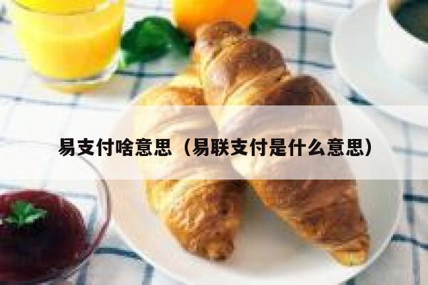 易支付啥意思（易联支付是什么意思） 第1张