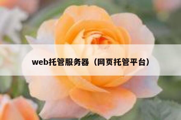web托管服务器（网页托管平台） 第1张