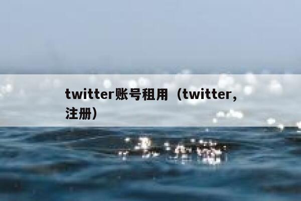 twitter账号租用（twitter,注册） 第1张