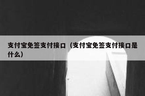 支付宝免签支付接口（支付宝免签支付接口是什么） 第1张