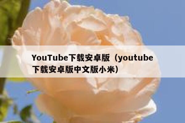 YouTube下载安卓版（youtube下载安卓版中文版小米） 第1张