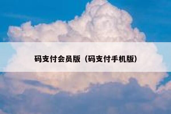 码支付会员版（码支付手机版） 第1张
