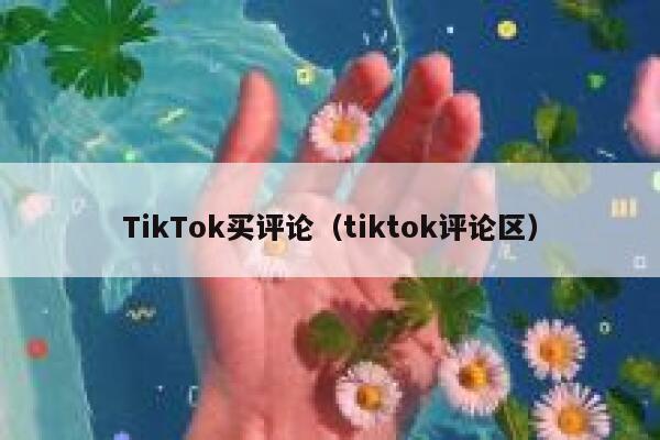TikTok买评论（tiktok评论区） 第1张