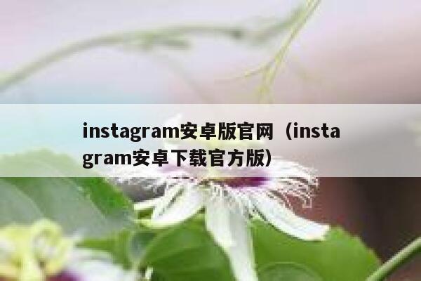 instagram安卓版官网（instagram安卓下载官方版） 第1张