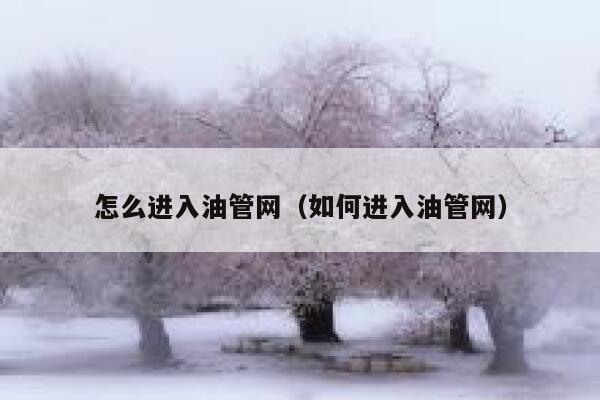 怎么进入油管网（如何进入油管网） 第1张